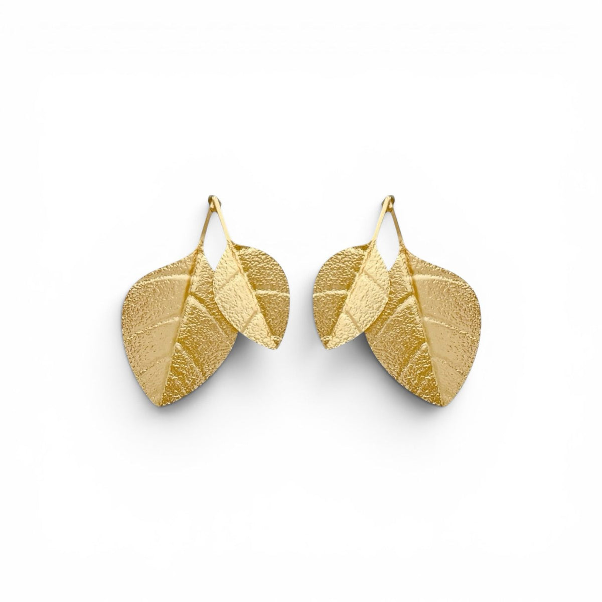 Earrings M - PE23068